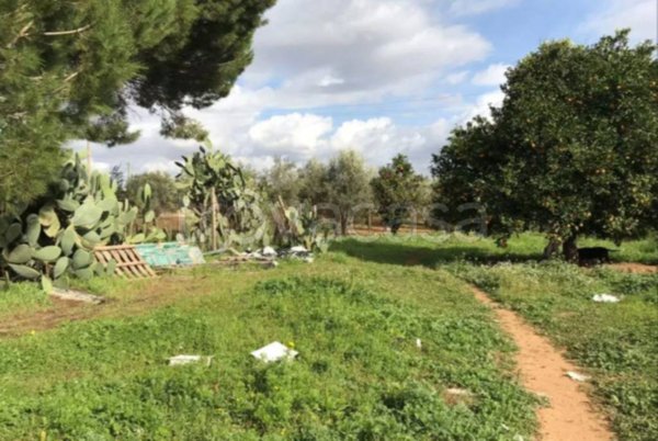appartamento in vendita a Comiso