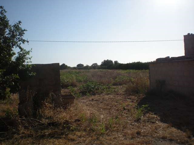 terreno agricolo in vendita a Comiso