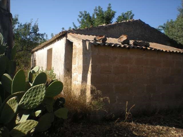 terreno agricolo in vendita a Comiso