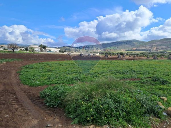 terreno agricolo in vendita a Comiso