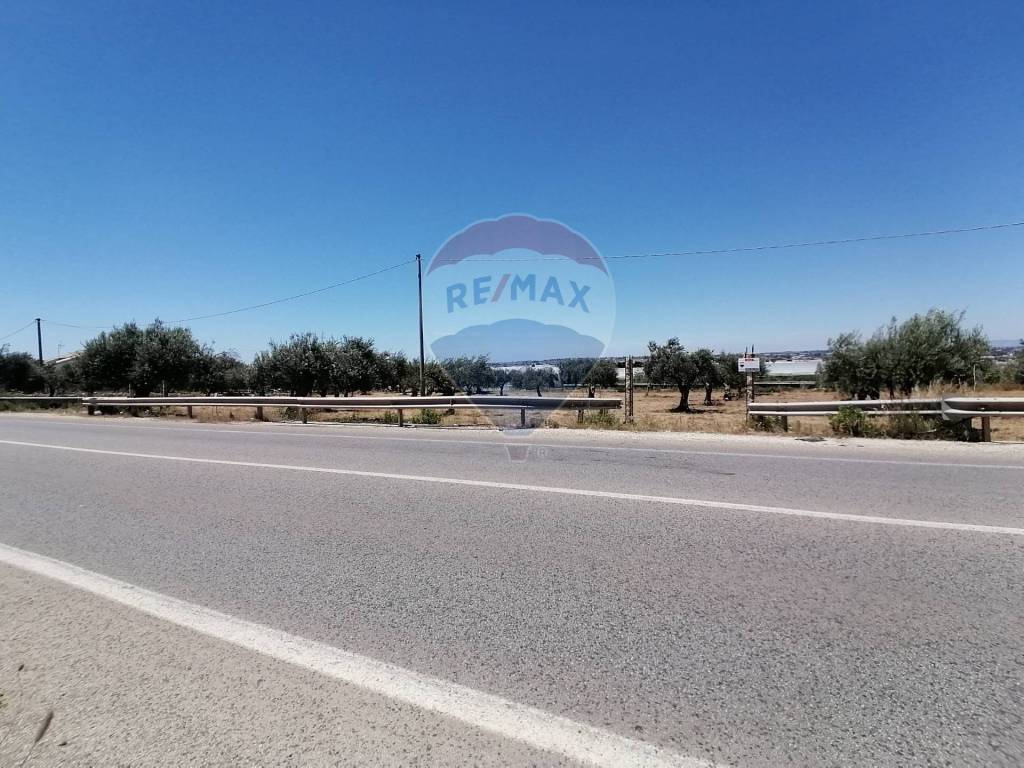 terreno agricolo in vendita a Comiso