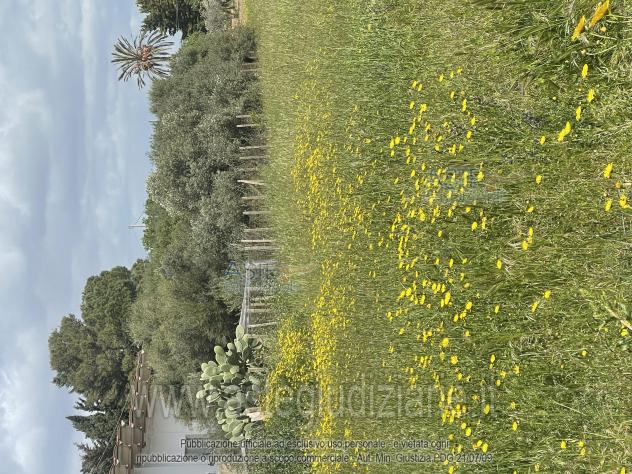 terreno agricolo in vendita a Comiso