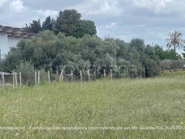 appartamento in vendita a Comiso