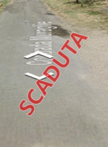 terreno agricolo in vendita a Comiso