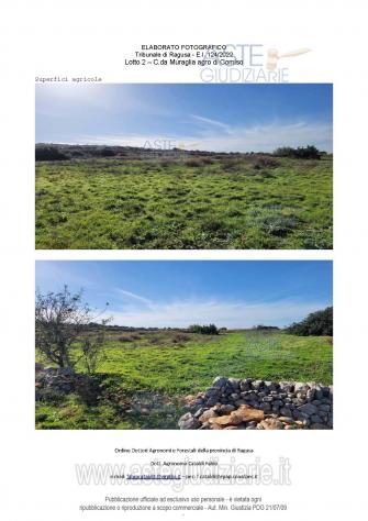 terreno agricolo in vendita a Comiso