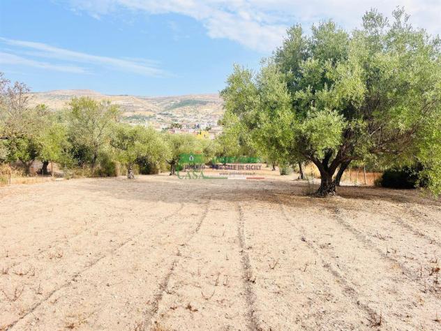 terreno agricolo in vendita a Comiso