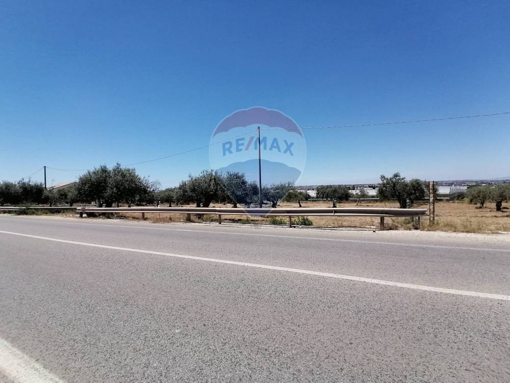 terreno agricolo in vendita a Comiso