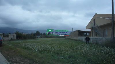 terreno agricolo in vendita a Comiso