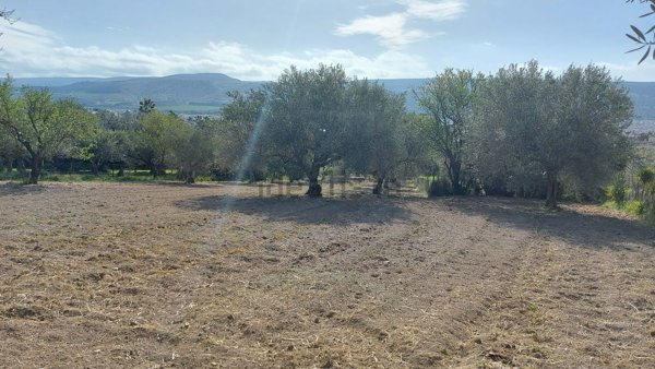 appartamento in vendita a Comiso