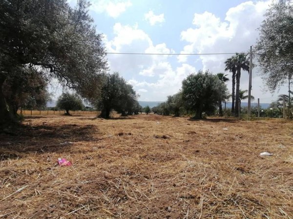 terreno agricolo in vendita a Comiso