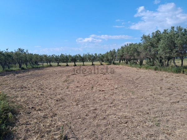 appartamento in vendita a Comiso