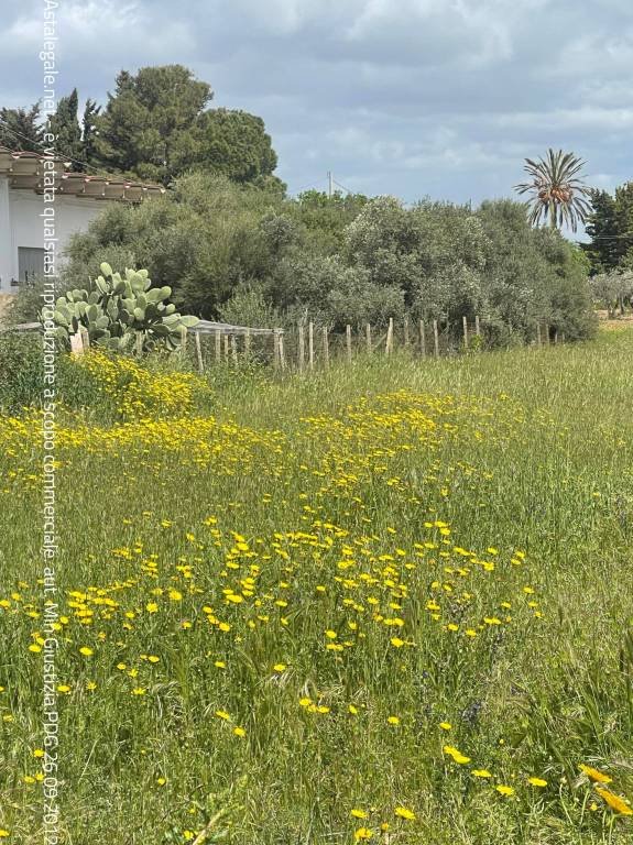 terreno agricolo in vendita a Comiso