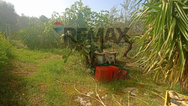 casa indipendente in vendita a Comiso