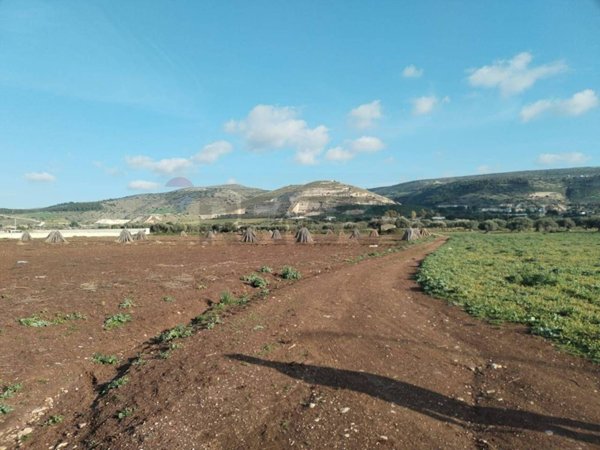 terreno agricolo in vendita a Comiso in zona Centro Storico