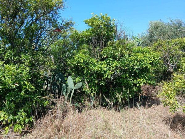 casa indipendente in vendita a Comiso in zona Pedalino