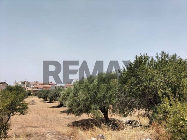 terreno agricolo in vendita a Comiso in zona Pedalino