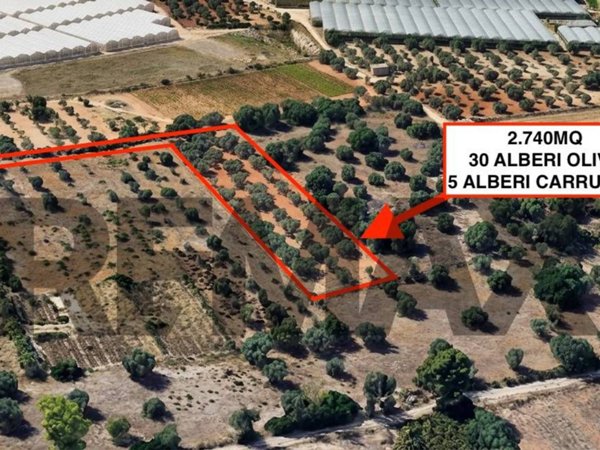 terreno agricolo in vendita a Comiso in zona Pedalino