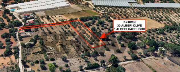 terreno agricolo in vendita a Comiso