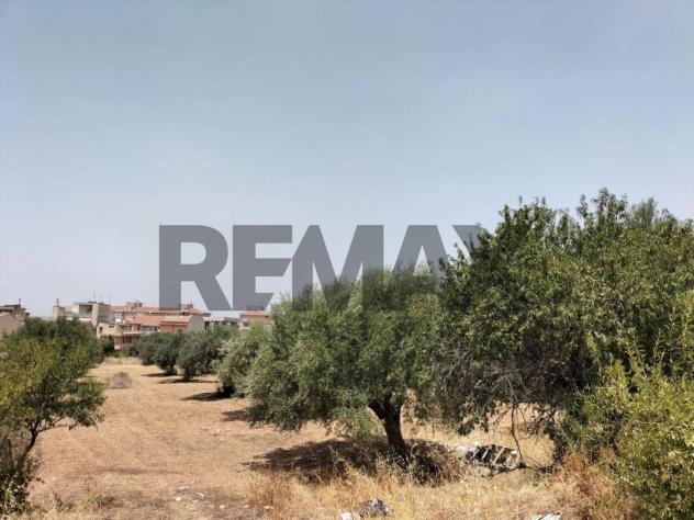 terreno in vendita a Comiso