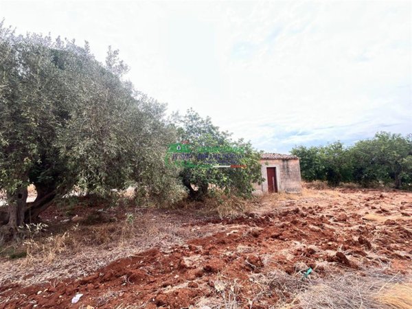 appartamento in vendita a Comiso
