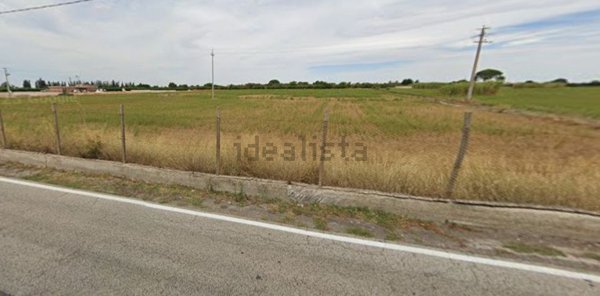 terreno agricolo in vendita a Comiso in zona Pedalino
