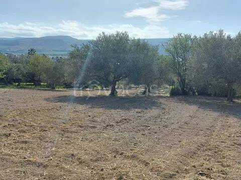 casa indipendente in vendita a Comiso