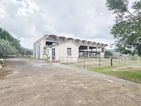appartamento in vendita a Comiso in zona Pedalino