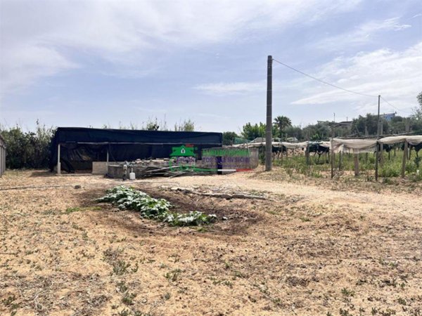terreno agricolo in vendita a Comiso in zona Pedalino