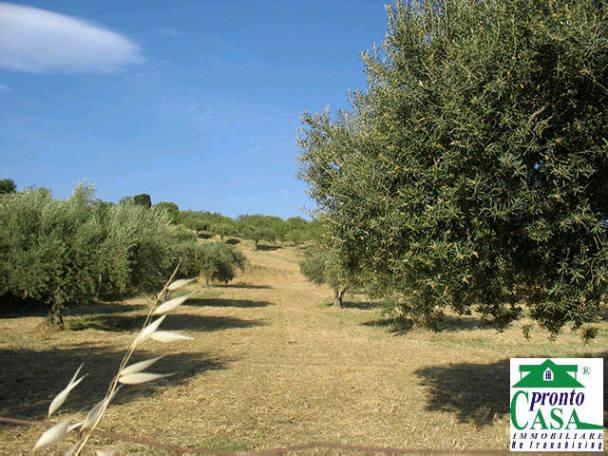 attico in vendita a Giarratana