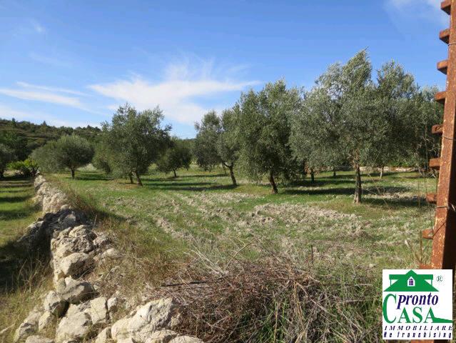 casa indipendente in vendita a Giarratana