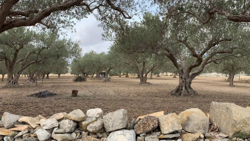 terreno agricolo in vendita a Giarratana