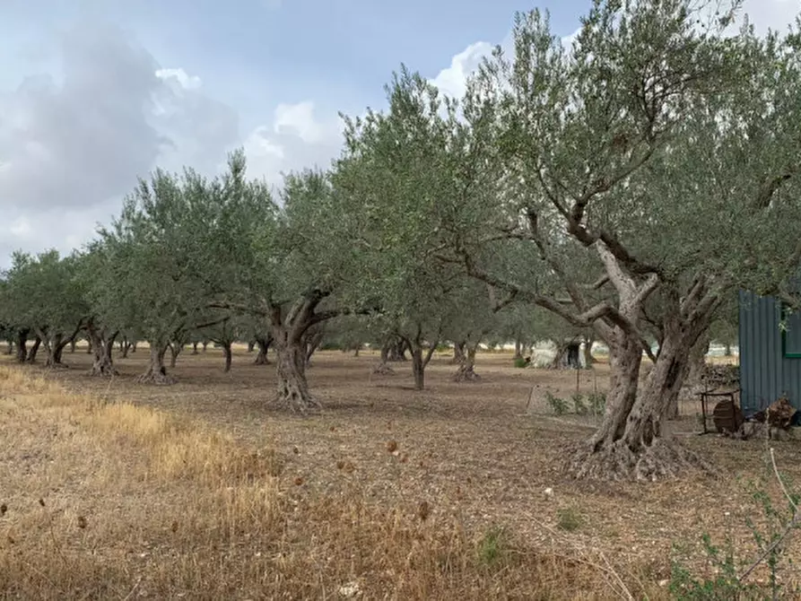 terreno agricolo in vendita a Giarratana
