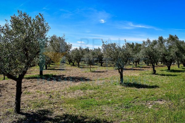 appartamento in vendita a Giarratana