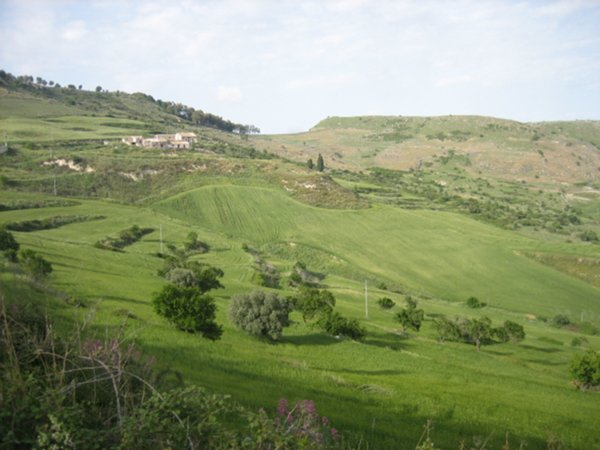 terreno agricolo in vendita a Giarratana