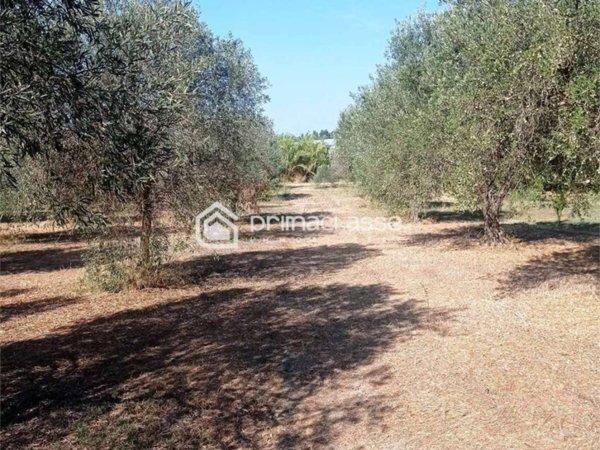 terreno agricolo in vendita ad Ispica