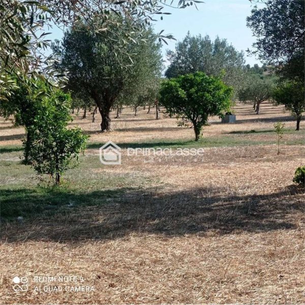 terreno agricolo in vendita ad Ispica