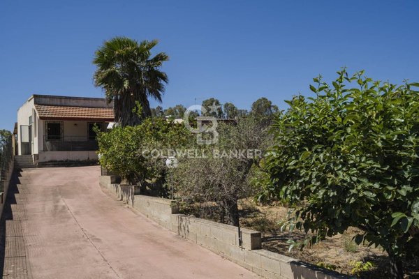 esavano in vendita ad Ispica in zona Santa Maria del Focallo