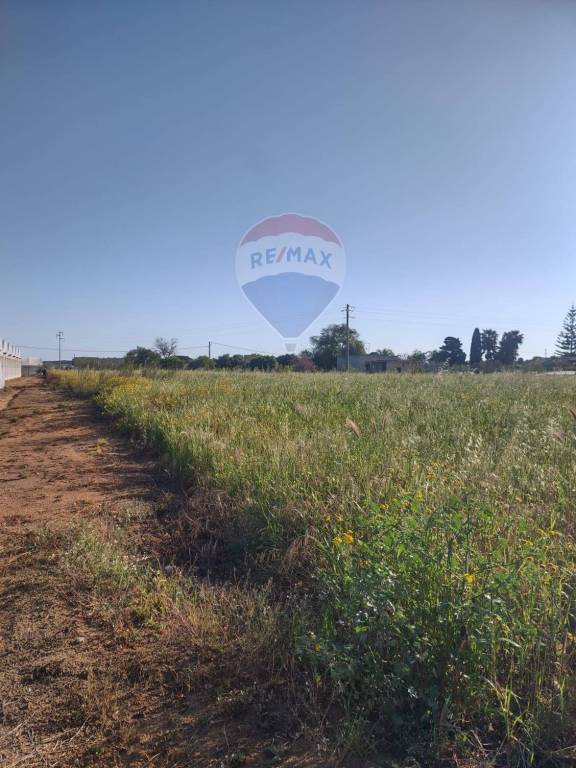 terreno agricolo in vendita ad Ispica in zona Santa Maria del Focallo
