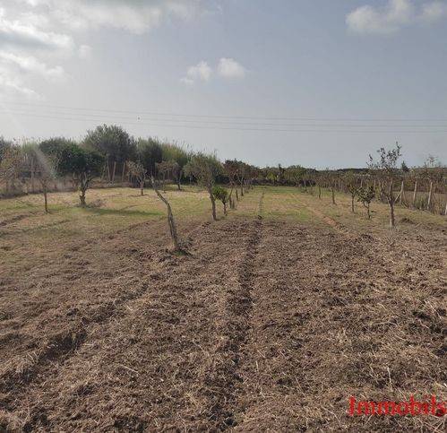terreno agricolo in vendita ad Ispica in zona Santa Maria del Focallo