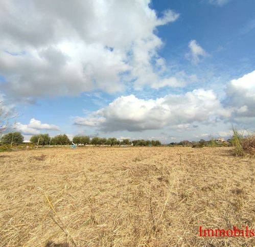 terreno agricolo in vendita ad Ispica in zona Marina Marza