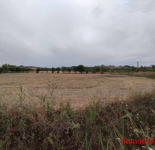 terreno agricolo in vendita ad Ispica