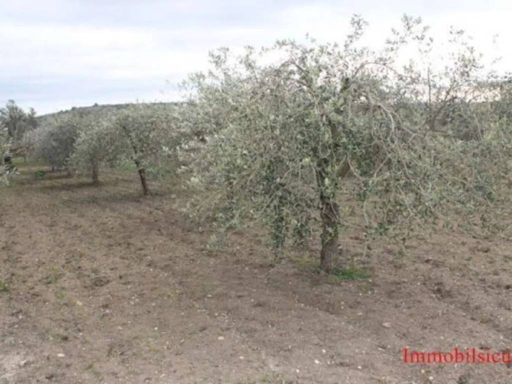 terreno agricolo in vendita ad Ispica