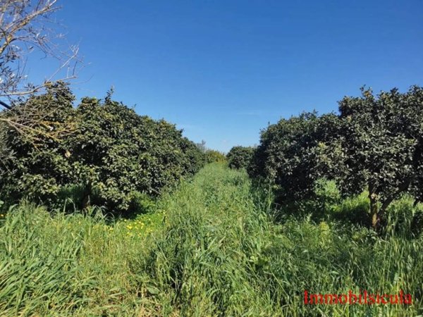terreno agricolo in vendita ad Ispica