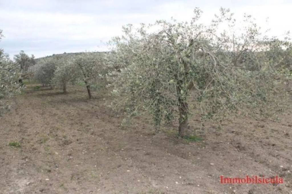 terreno agricolo in vendita ad Ispica