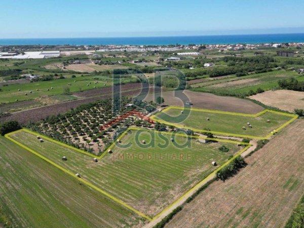 terreno agricolo in vendita ad Ispica