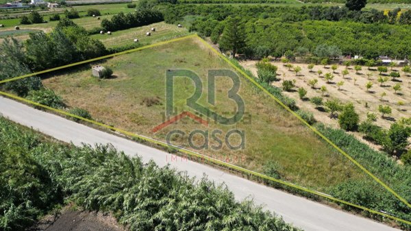 terreno agricolo in vendita ad Ispica