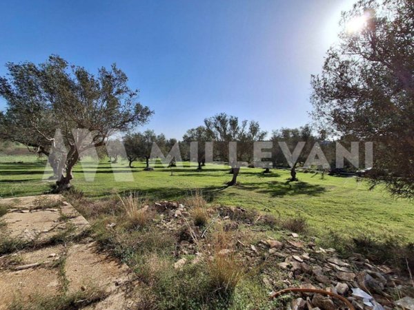 terreno agricolo in vendita ad Ispica in zona Santa Maria del Focallo