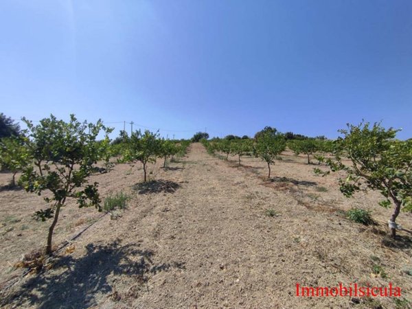 terreno agricolo in vendita ad Ispica