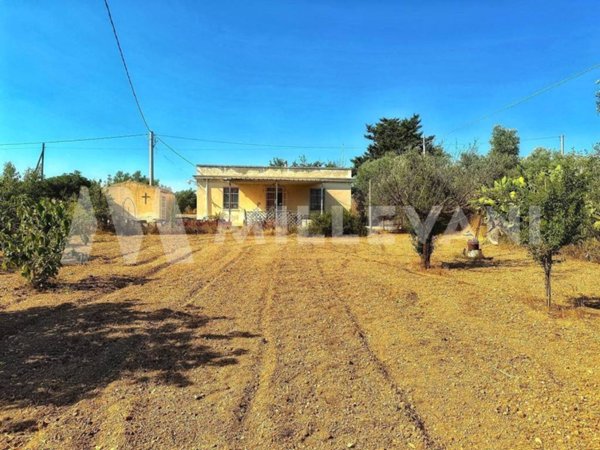casa indipendente in vendita ad Ispica in zona Santa Maria del Focallo