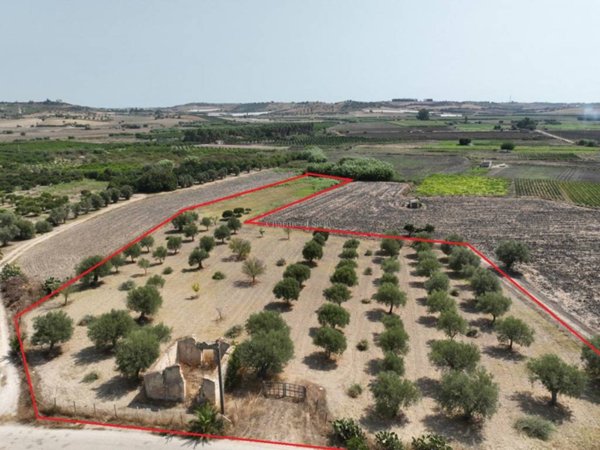 terreno agricolo in vendita ad Ispica in zona Santa Maria del Focallo